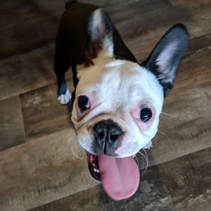 Meet your Posher, Sara